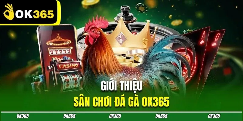 Đá gà Ok365 hoàn toàn miễn phí cho khách hàng